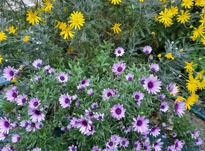 Un Doux Refuge 永河畔拉罗什